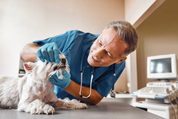 Best Weekend Emergency Dentist in Union City, OK